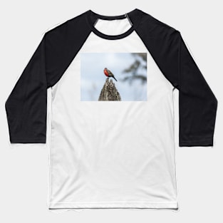 51015 looking at you Baseball T-Shirt